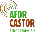 Logo Afor Castor